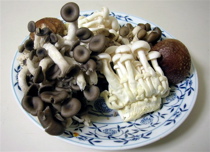 my_mushrooms0988.jpg