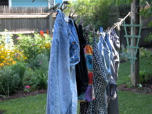 clothes_line.jpg