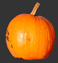 pumpkin_2.jpg