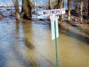 Flooded Avenue