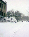 oberlin_snow.gif