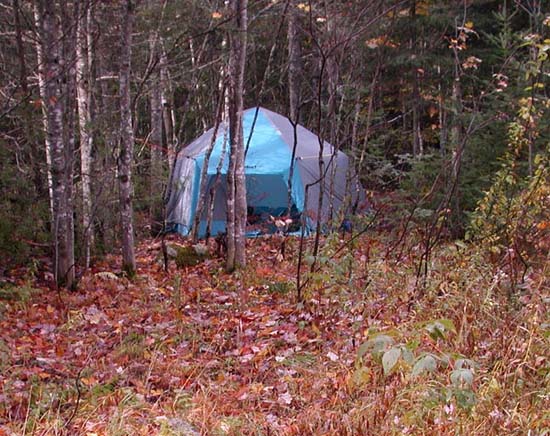 tent_woods