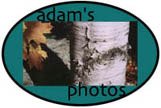 Adam's Photos
